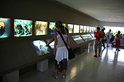 Vulkanmuseum "La Casa de los Volcanes" (Foto: Martin Schmitz)